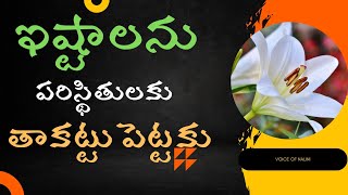 18 telugu quotes  best motivational quotes in telugu  inspirational quotes in telugu [upl. by Cornela]