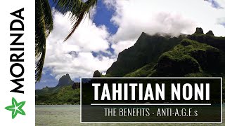 The Benefits of Tahitian Noni  AntiAGEs [upl. by Vine]