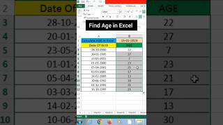 Calculate DOB in excel [upl. by Laiceps]