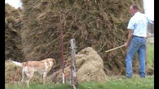 English Documentary Crofting and harvesting [upl. by Idham]