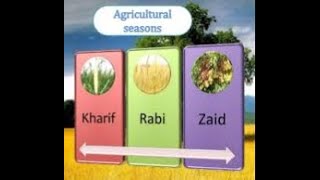 Cropping Seasons in India and Pakistan  Kharif Rabi and Zaid Crops [upl. by Vachel]