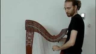 How to Play the Harp  Tuning the A amp D Strings of a Harp [upl. by Ahtenek]