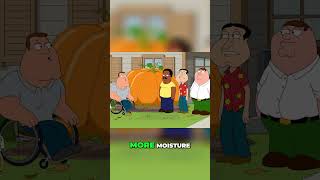 Family Guy 2024 Season 22 Ep 16 Pumpkin Contest Rivalry Can I Beat Patrick McCloskey suscribe [upl. by Lytsirk295]