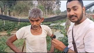 Tomato Farming 🍅 Garmi Ke mahine me Tomato Farming 🍅 Without Manlching And Without Dri 🤔 😱🍅 [upl. by Alamac940]