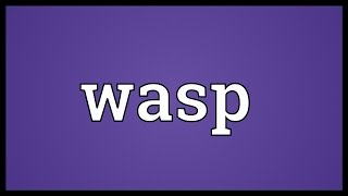 Wasp Meaning [upl. by Hendrickson]