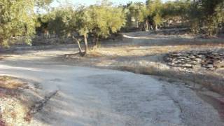 Homage to Dirk Bogarde in the olive groves of Provence [upl. by Areem913]