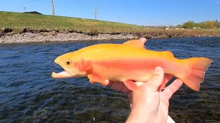 FLY FISHING BRODHEAD CREEK quot The Boys are Back in Townquot [upl. by Yliak658]