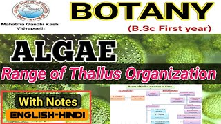 Range of Thallus Structure in AlgaeRange of Thallus organization in AlgaeBSc 1st year Botany [upl. by Killam]