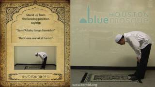 How to Pray  Zuhr Noon Pray  Fardh [upl. by Adnoraj]