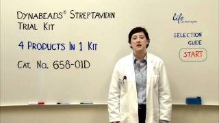 Dynabeads® Streptavidin Tial Kit  Product Presentation [upl. by Gasper]