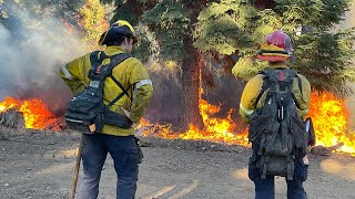 UC Davis LIVE Fighting California Wildfires [upl. by Airad152]