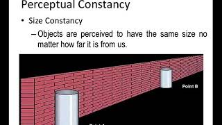 PERCEPTUAL CONSTANCIES [upl. by Ashleigh]