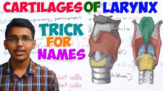 cartilages of larynxexplainedtrick to memorize the names of cartilages [upl. by Hadihahs]