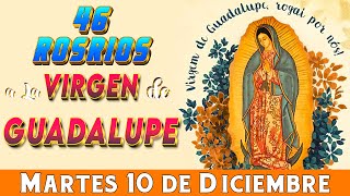 46 Rosarios a la Santísima Virgen de Guadalupe Martes 10 de Diciembre Dia 44🙏 Misterios Dolorosos🙏 [upl. by Adiaz]