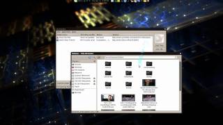 DamnVid Video Downloader amp Converter  Linux Mint 8 [upl. by Snowber377]