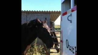 What is Horse Colic  Signs Causes Symptoms and Prevention  Rick Gore Horsemanship [upl. by Savinirs16]