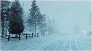 Intense Blizzard in the Mountains┇Heavy Wind Sounds for Sleeping┇Howling Wind amp Blowing Snow [upl. by Assiluy]