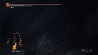 Lothric prices get Bonked by man with a twig in Dark Souls 3 [upl. by Fiore]