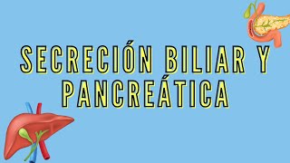 FisiologíaDigestivo Secreción biliar y pancreática  sem14 URP [upl. by Llenwad]