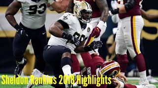 Sheldon Rankins 2018 Season Highlights [upl. by Odama]