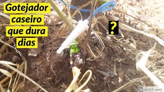 Como Fazer Gotejador caseiro para irrigar as plantas que dura varios dias [upl. by Primalia]