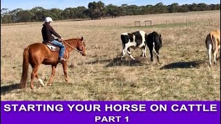 CAMPDRAFT TRAINING I Starting Your Horse on Cattle  Part 1 [upl. by Lezley]