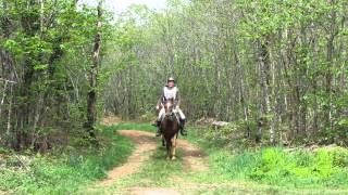 endurance en charente mazerolles 2012 by wwwcoutillasendurancecomf4v [upl. by Ahtoelc]