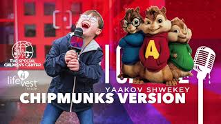 Yaakov Shwekey 💪 I CAN BE 20 Chipmunks Version🐿 [upl. by Leind]