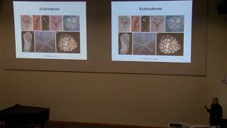 Geobiology and palaeogenomics genes that make rocks [upl. by Lindell925]