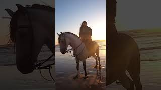 Sunset Horse Riding in Essaouira Morocco [upl. by Sumahs]