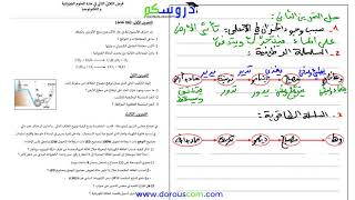 حل فرض الثلاثي الثاني للسنة الثالثة متوسط مع الأستاذ وسيم حلاسة  الجزء 2 [upl. by Allayne]