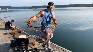 Crabbing You won’t BELIEVE how much crabs I caught off this dock Catch amp Cook [upl. by Eelyk729]