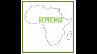 WebinaireRepremaf Maladie dAlzheimer  Dr Rokhaya Diajhete Sénégal Dr Joseph Traoré Mali [upl. by Hagep]