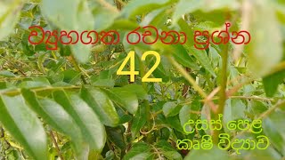 Structured Essay 42  Agricultural Science for Advance Level Examination Sinhala medium [upl. by Melmon]