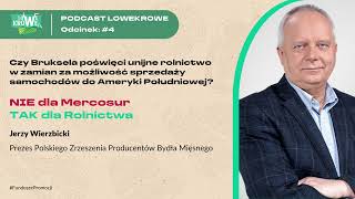 Czy UE poświęci unijne rolnictwo w zamian za możliwość sprzedaży samochodów do Ameryki Południowej [upl. by Melodee]