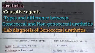 Urethritis  Causative agents  Gonococcal vs Nongonococcal urethritis  Gonococcal urethritis [upl. by Ylyl]