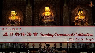 20240519【週日共修：父母恩重難報經 Sunday Communal Cultivation：Repaying Parents Sutra】佛光山西來寺 FGS Hsi Lai Temple [upl. by Ilesara]