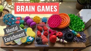 Brain Games for DogsMental Enrichment [upl. by Oicnaneb]