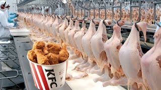 Descubra cómo se producen millones de pollos de KFC [upl. by Hasan]