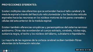 Formación Reticular y Sistema Límbico 2021 [upl. by Isolt]