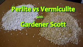 Perlite vs Vermiculite [upl. by Araet883]