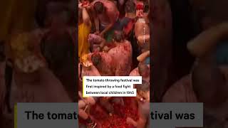 Tomatina Festival Kicks Off With 120 Tons of Tomatoes [upl. by Kcinnay]