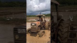 Tafe Tractor කැමති අය කෝ Shorta tafe tractor [upl. by Aitel663]