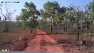 Video 216Reynolds River 4WD Track in Litchfield NP  To Tjaynera Sandy Creek Falls [upl. by Ynohtnaluap]