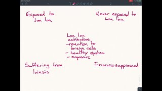 A patient tests positive for Loa loa antibodies What does this test indicate a The individual wa… [upl. by Gromme146]