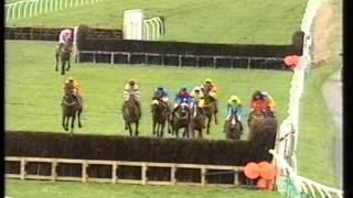 1995 Tote Eider Handicap Chase [upl. by Adnilemreh836]