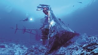 Zenobia Wreck Dive Highlight [upl. by Ahsekyw530]