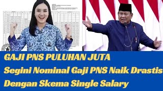 GAJI PNS PULUHAN JUTA Segini Nominal Gaji PNS Yang Naik Drastis Dengan Skema Single Salary [upl. by Dayiz853]