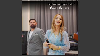 Malamın diyarbekır [upl. by Sevy808]