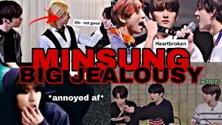 MINSUNG JEALOUSY the ultimate MinSung jealousy compilation 🔥 [upl. by Aierdna]